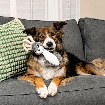 Show full view: Grrreen Arctic Hare with Rope Squeaky Plush Dog Toy, Medium slide 4 of 7