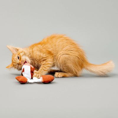 Show full view: Grrreen Fish Puzzle Plush Cat Toy with Catnip, Brown, Small slide 3 of 6