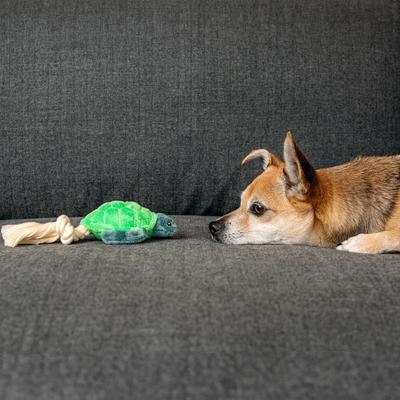 Show full view: Grrreen Rope Turtle Squeaky Plush Dog Toy, Small slide 5 of 6