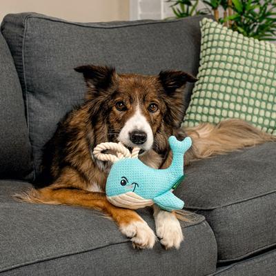 Show full view: Grrreen Rope Whale Squeaky Plush Dog Toy, Medium slide 4 of 7