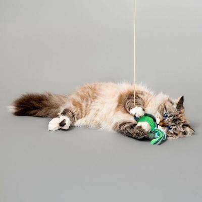 Show full view: Grrreen Turtle Teaser Cat Toy with Catnip, Green, Small slide 3 of 5