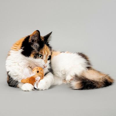 Show full view: Grrreen Walrus Plush Cat Toy with Catnip, Brown, Small slide 3 of 5