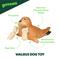 Show in main carousel: Grrreen Walrus Squeaky Plush Dog Toy, Brown, Medium slide 3 of 7