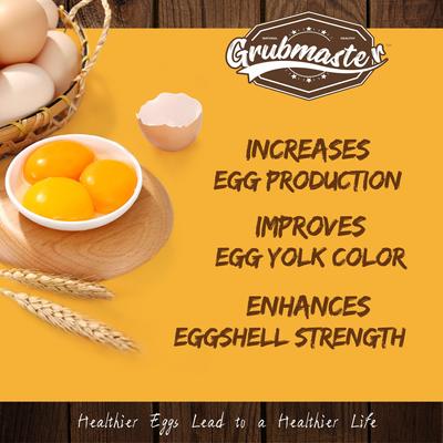 Show full view: GRUBMASTER Dried Black Soldier Fly Larvae Bird Treat, 10-lb bag slide 3 of 7