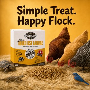 GRUBMASTER Dried Black Soldier Fly Larvae Bird Treat, 10-lb bag