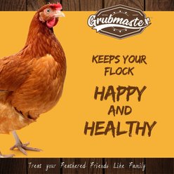 GRUBMASTER Dried Black Soldier Fly Larvae Bird Treat, 2-lb bag slide 2 of 5