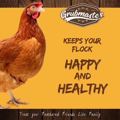 Show full view: GRUBMASTER Dried Black Soldier Fly Larvae Bird Treat, 2-lb bag slide 2 of 7