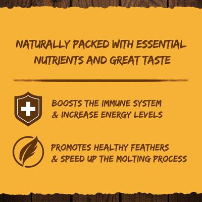 Show full view: GRUBMASTER Dried Black Soldier Fly Larvae Bird Treat, 5-lb bag slide 4 of 7