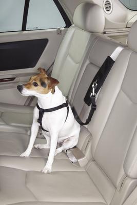 Show full view: Guardian Gear Ride Right Seat Belt Connector for Dogs, Black slide 1 of 5