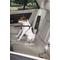 Show in main carousel: Guardian Gear Ride Right Seat Belt Connector for Dogs, Black slide 2 of 5