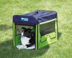 Guardian Gear Single Door Collapsible Soft-Sided Dog Crate, Green/Blue, 31 inch
