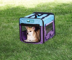 Guardian Gear Single Door Collapsible Soft-Sided Dog Crate, Purple/Turquoise, 18 inch