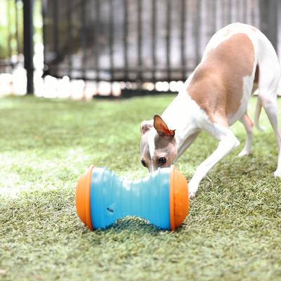 Show full view: GURU Bouncer Treat Dispensing Dog Toy, Large slide 4 of 6