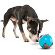 Show in main carousel: GURU Busy Ball Treat Dispensing Dog Toy, Medium slide 4 of 11
