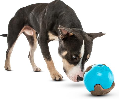 Show full view: GURU Busy Ball Treat Dispensing Dog Toy, Medium slide 4 of 11