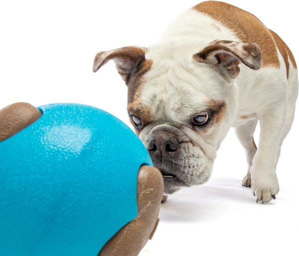 Show full view: GURU Busy Ball Treat Dispensing Dog Toy, Medium slide 8 of 11
