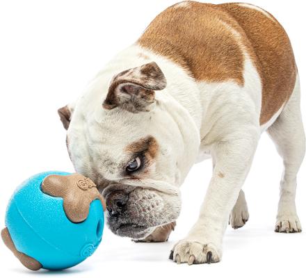 Show full view: GURU Busy Ball Treat Dispensing Dog Toy, Medium slide 3 of 11