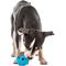 Show in main carousel: GURU Busy Ball Treat Dispensing Dog Toy, Medium slide 7 of 11