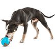 Show in main carousel: GURU Busy Ball Treat Dispensing Dog Toy, Medium slide 6 of 11
