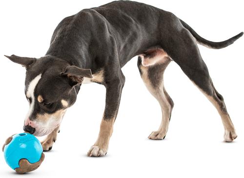 Show full view: GURU Busy Ball Treat Dispensing Dog Toy, Medium slide 6 of 11