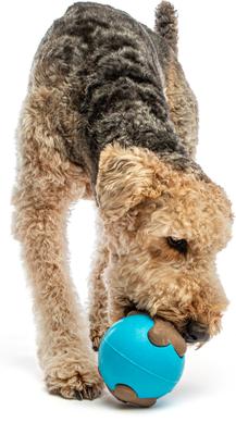 Show full view: GURU Busy Ball Treat Dispensing Dog Toy, Medium slide 5 of 11