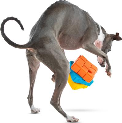 Show full view: GURU Dog-X-Cube Interactive Treat Dispensing Dog Toy, Medium slide 6 of 9