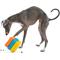 Show in main carousel: GURU Dog-X-Cube Interactive Treat Dispensing Dog Toy, Medium slide 4 of 9