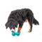Show in main carousel: GURU Duo Ball Treat Dispensing Dog Toy, Medium slide 6 of 10