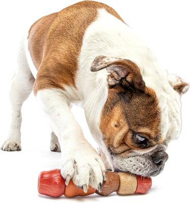 Show full view: GURU Multi-Flavor Spinning Chew Stick, Medium slide 3 of 7