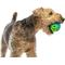 Show in main carousel: GURU Pocket Ball Treat Holder Dog Toy, Medium slide 4 of 6