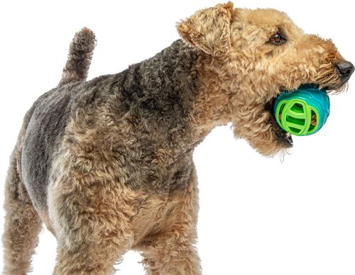 Show full view: GURU Pocket Ball Treat Holder Dog Toy, Medium slide 4 of 6