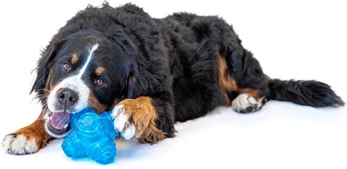 Show full view: GURU Puzzle Jack Treat Dispensing Dog Toy, Medium slide 5 of 9