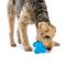 Show in main carousel: GURU Puzzle Jack Treat Dispensing Dog Toy, Medium slide 4 of 9