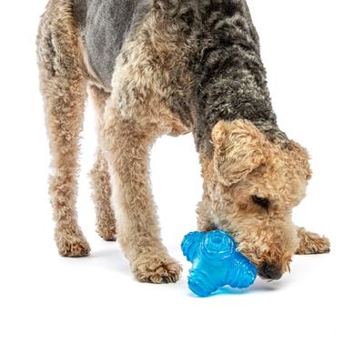 Show full view: GURU Puzzle Jack Treat Dispensing Dog Toy, Medium slide 4 of 9