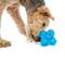 Show in main carousel: GURU Puzzle Jack Treat Dispensing Dog Toy, Medium slide 6 of 9