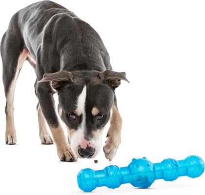 Show full view: GURU Shaker Stick Treat Dispensing Dog Toy, Large slide 2 of 5