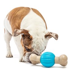 GURU Spin & Chew Bacon Bone Treat Dispensing Dog Toy, Medium slide 2 of 4