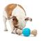 Show in main carousel: GURU Spin & Chew Bacon Bone Treat Dispensing Dog Toy, Medium slide 5 of 7