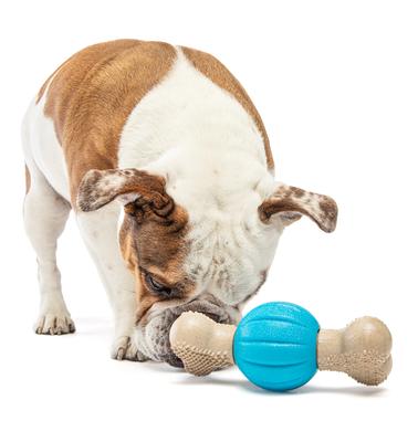 Show full view: GURU Spin & Chew Bacon Bone Treat Dispensing Dog Toy, Medium slide 5 of 7