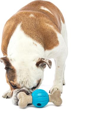 Show full view: GURU Spin & Chew Bacon Bone Treat Dispensing Dog Toy, Medium slide 4 of 7