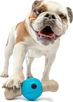 Show full view: GURU Spin & Chew Bacon Bone Treat Dispensing Dog Toy, Medium slide 3 of 7