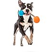 Show in main carousel: GURU Squeaking Rope Dog Toy, Medium slide 4 of 7