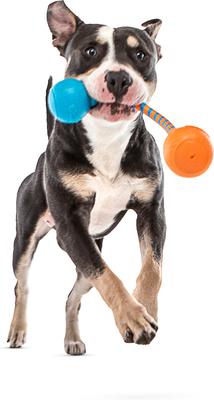 Show full view: GURU Squeaking Rope Dog Toy, Medium slide 4 of 7