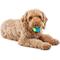 Show in main carousel: GURU Tennis Max Ball Dog Toy, Medium slide 4 of 7