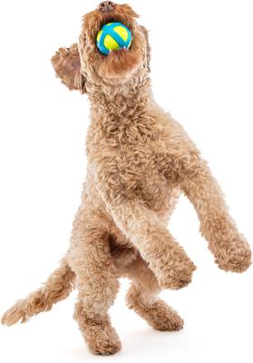 Show full view: GURU Tennis Max Ball Dog Toy, Medium slide 3 of 7