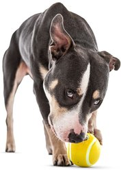 GURU Tennis Treat Holder Ball Dog Toy, Medium slide 2 of 6