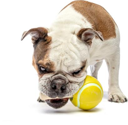 Show full view: GURU Tennis Treat Holder Ball Dog Toy, Medium slide 3 of 8