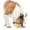 Show in main carousel: GURU Tennis Treat Holder Ball Dog Toy, Medium slide 6 of 8