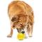Show in main carousel: GURU Tennis Treat Holder Ball Dog Toy, Medium slide 4 of 8