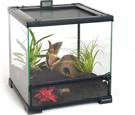 Show full view: Habistat Glass Reptile Arboreal Terrarium, 8.1-gal slide 9 of 9